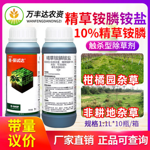 巴斯夫精保试达11%精草铵膦铵盐果园荒地杂草专用触杀农药除草剂