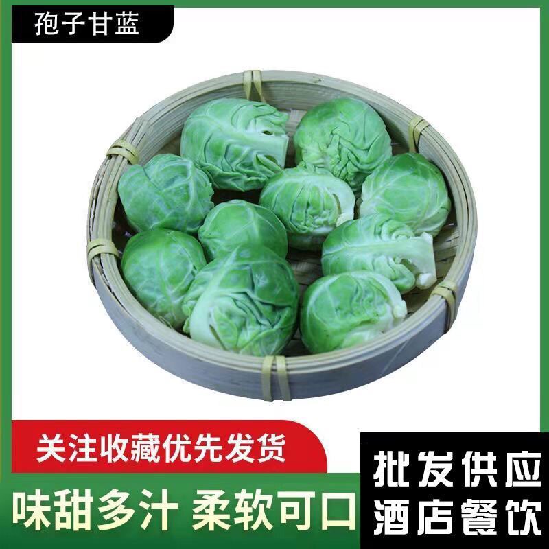 孢子甘蓝新鲜蔬菜西餐沙拉食材小其它
