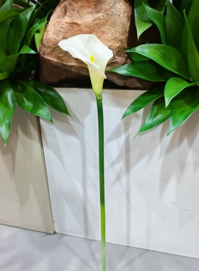 仿真手感保湿马蹄莲海芋花轻奢摆件客厅家居装饰花酒店装饰陈列花