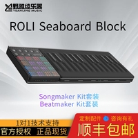 【野雅绫】Roli Seaboard RISE Block25键49键五维MIDI键盘控制器