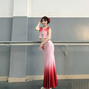 傣族舞蹈成人双肩演出服练功裙表演服女渐变舞裙艺考服装 孔雀舞鱼