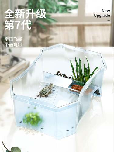 包邮龟刚 带缸龟缸送2只小乌龟活物活体龟盆巴西龟宠物龟中华草龟 - 封面