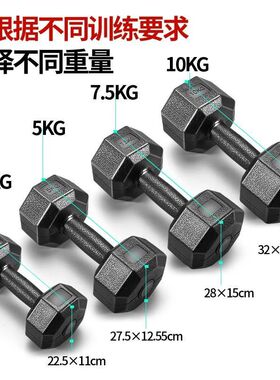 包邮哑铃10公斤20kg亚铃15健身房男士练臂肌家用一对扛铃铔铃器