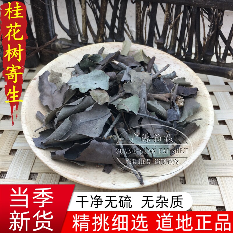 桂花树寄生广西 桂花木寄生 切片干品500克包邮