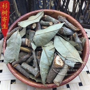 杉树寄生   野生广西 杉寄生  杉木寄生切片段干品自然晒干新货