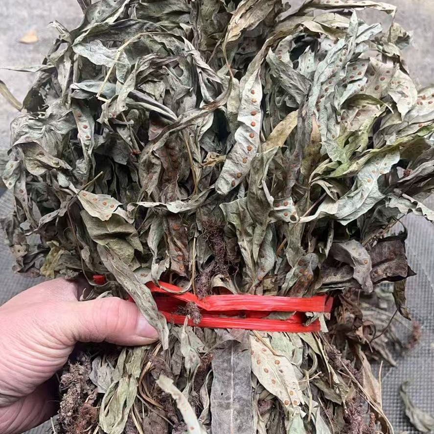 野生金鸡脚材鸭脚草七星草鹅掌金星草500克新金鸡脚草药晒干