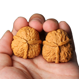 文玩核桃把玩铁核桃野外生三棱正奔蛤蟆头超大粗筋金蟾疙瘩包磐