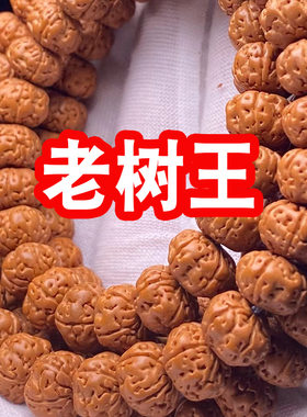 矮桩小金刚高油高密108颗爆肉