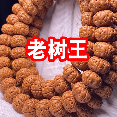 矮桩小金刚高油高密108颗爆肉