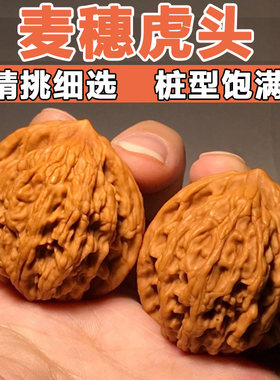 文玩核桃机刷包浆麦穗虎头