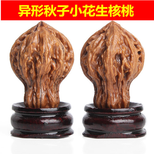 文玩花生葫芦秋子核桃畸形手把件