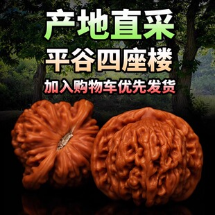 文玩核桃四座楼狮子头手把件机刷高抛原色盘玩男士手玩麻核桃随身