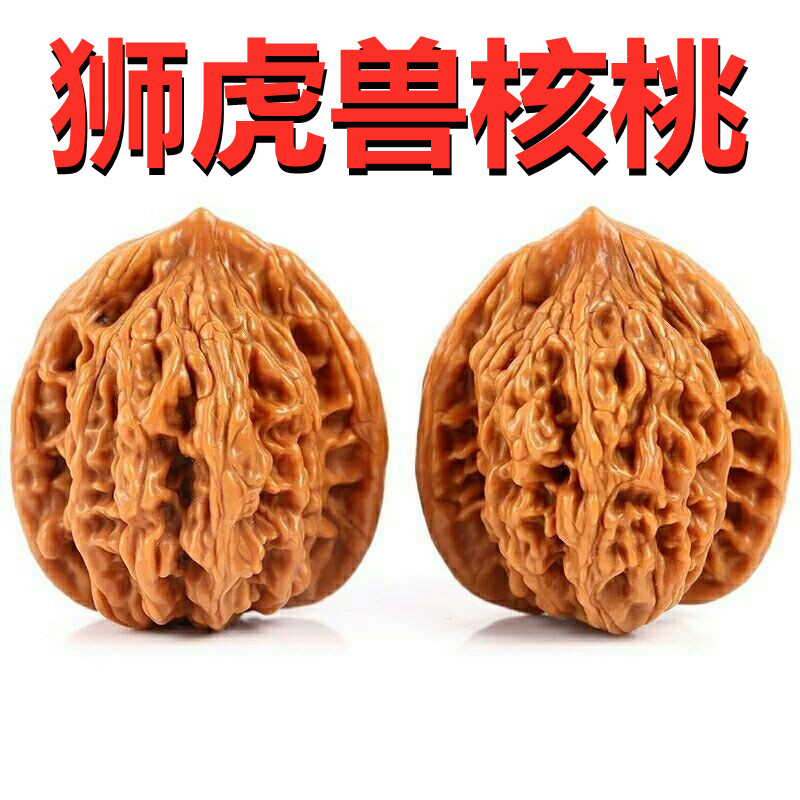 文玩核桃麻核桃狮虎兽手玩手盘核桃麦穗虎头闷尖四座楼老核矮桩核