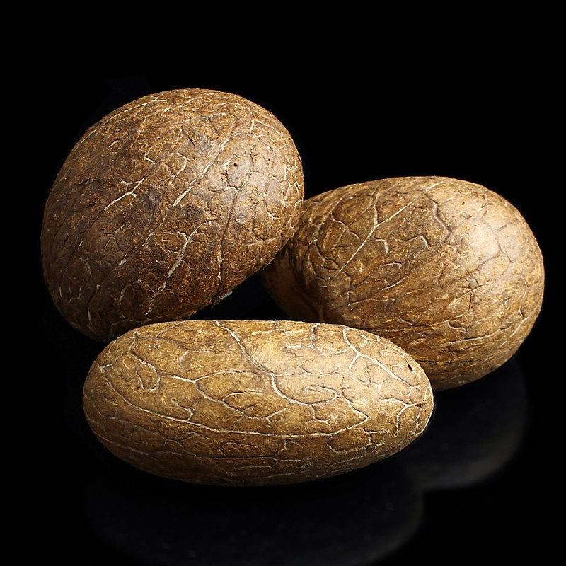 4~8mm天然象牙果原果原料大果雕刻挂坠挂件佛珠手串手把件