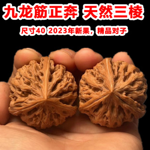文玩核桃天然异形九龙筋正奔三棱40mm一物一图2026年新果手持盘玩