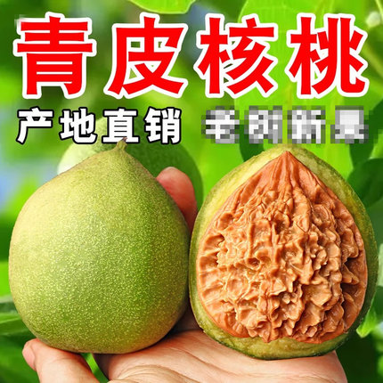 文玩麻核桃赌开青皮闷尖白狮子头四座楼满天星官帽虎头苹果园带皮