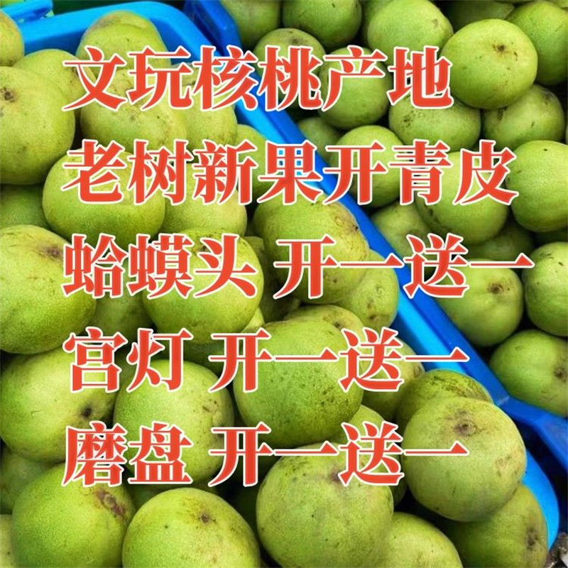 青皮文玩核桃延庆蛤蟆头闷尖