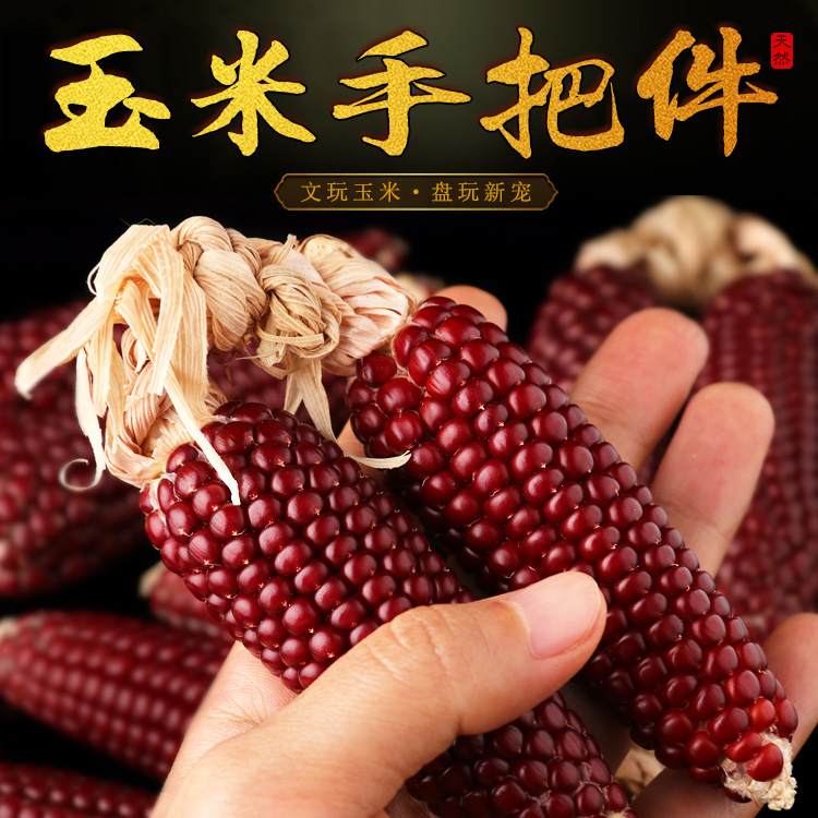 天然文玩玉米小玉米红色菩提迷你