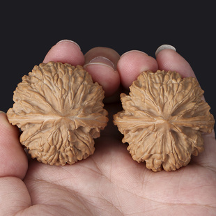 小核桃文玩手把件迷你指尖手捻学生女生盘玩秋子女士袖珍狮子头