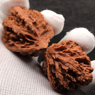 秦岭霸王花大官帽文玩核桃古玩爆肚满肉压手大灯灯笼男女士手盘