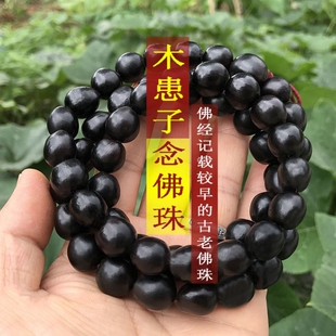 正品天然野生木患子鬼见愁陀罗尼子无患子菩提子手串手持男女佛珠