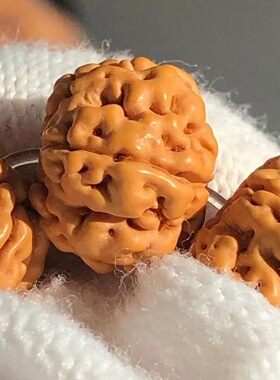 印尼小金刚菩提子帝王花老树王花王单圈手串手链勿里达一代龙纹