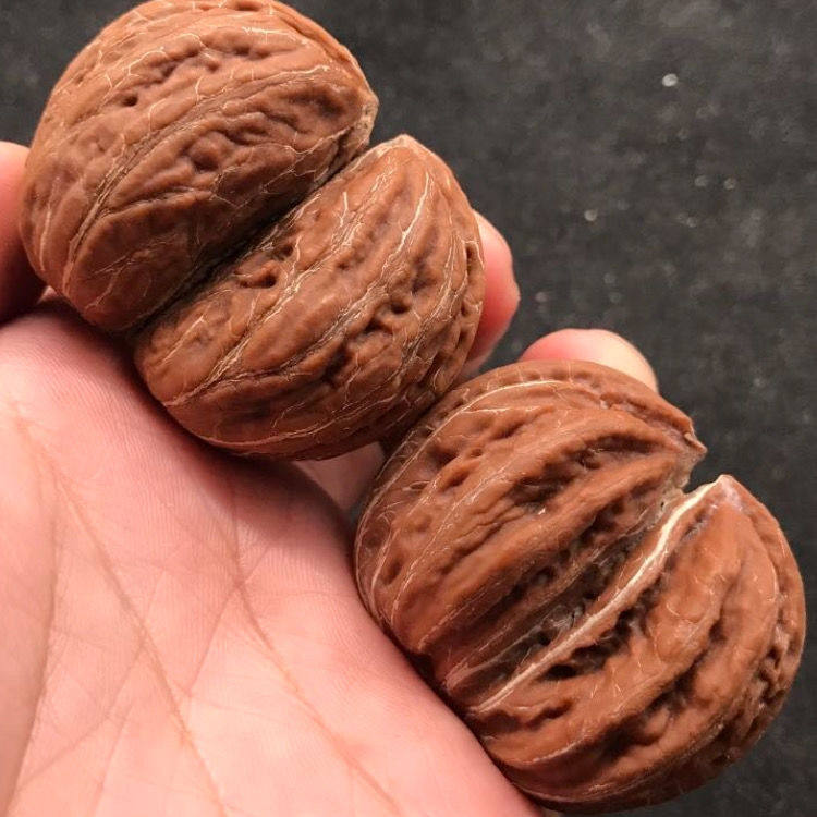 天然文玩异形双胞胎连体核桃一对双棒半壁江山油性大皮质好骨质硬