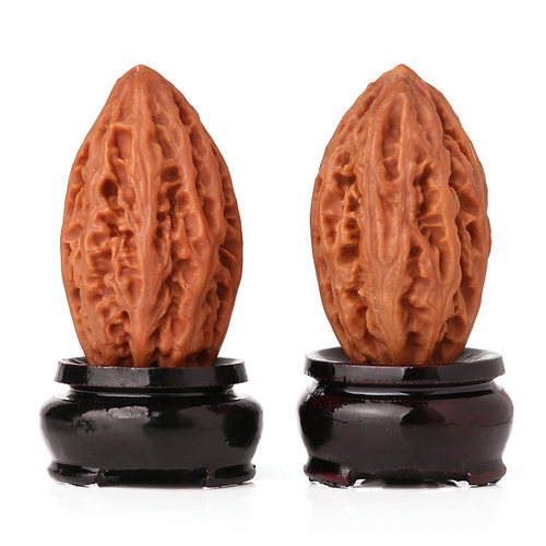 长白山东北文玩大秋子异形楸子