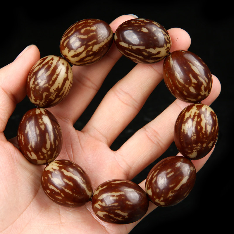 大籽打磨白菩提花菩提根手串单圈虎斑纹菩提佛珠手链男女文玩手持