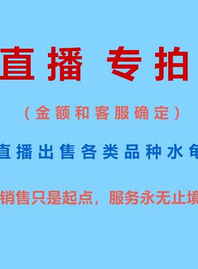 直播选龟麝香龟火焰龟