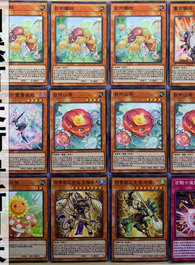 zz少年管游戏王中文版卡片自然百夫长骑士荷鲁斯卡组81张怪兽魔陷