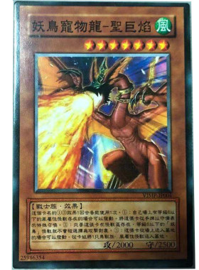 少年馆中文版宠物怪兽卡游戏王
