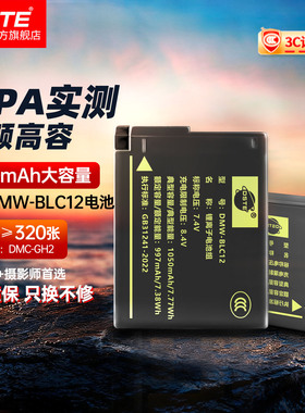 蒂森特DMW-BLC12原装充电适用松下G95D G85 GX8 G7 G6 G5徕卡Q Q1适马FP DP3Q DP0Q DP2Q DC12相机电池充电器
