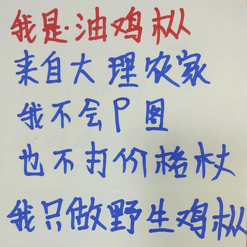 云南纯野生油鸡枞真鸡枞菌无杂菌