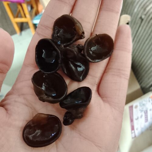 东北黑龙江黑木耳泡发率高小鼠耳珍珠耳500克