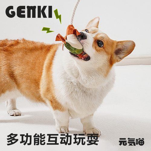 狗狗玩具逗犬棒磨牙发声藏食宠物