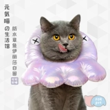 Yuanzhang Meow 丨 Кот Элизабет Круг Мягкая кошка размножающаяся шея