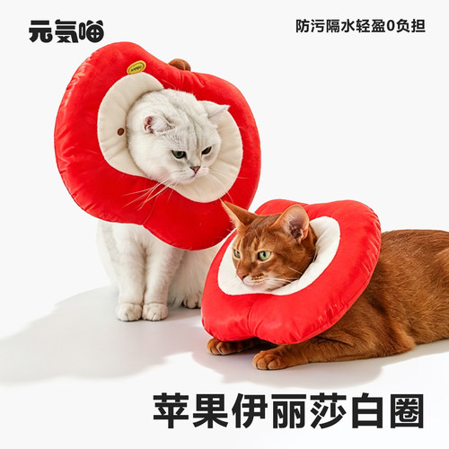 苹果伊丽莎白圈宠物防舔猫狗颈圈