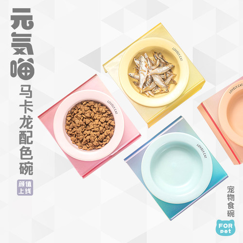 韩国bd猫碗陶瓷猫食盆带碗架喝水