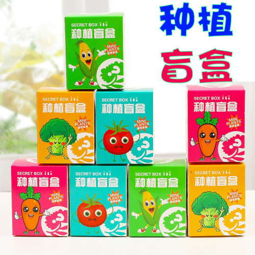 儿童种植盲盒科学实验套装