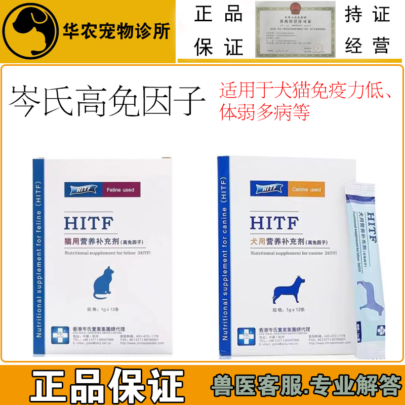 岑氏营养术后恢复提高免疫力猫咪