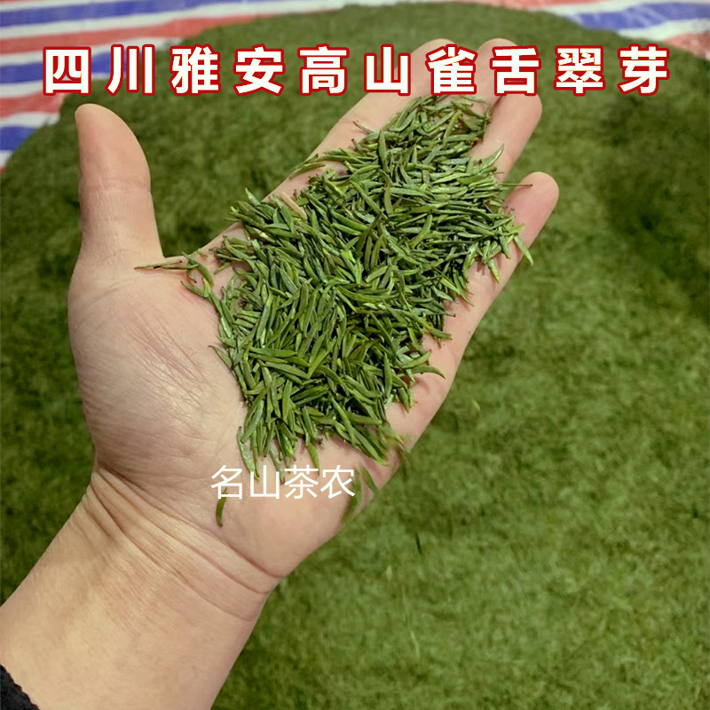 蒙顶山雀舌绿茶明前独芽新茶