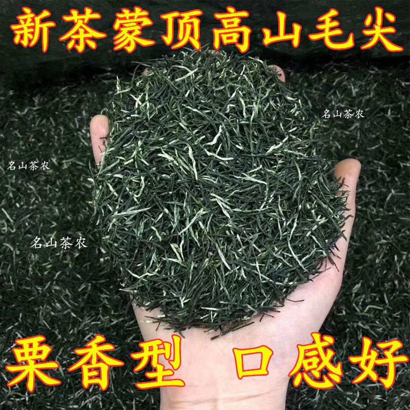 明前白毫毛尖蒙顶山茶浓香型新茶