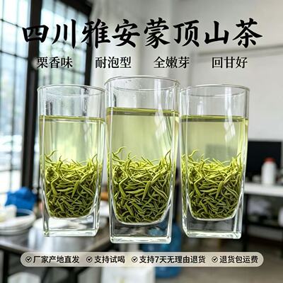 蒙顶山全嫩芽栗香卷毛峰绿茶