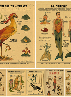 Mermaid poster dissecting birds peculiar creatures posters