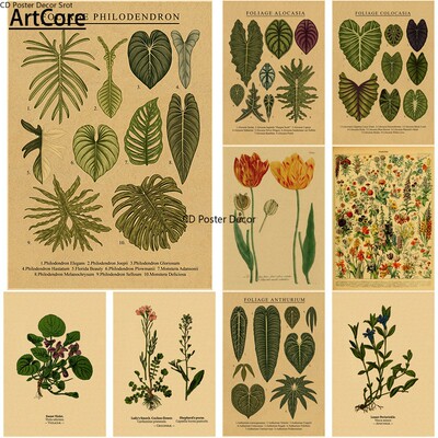 植物插画艺术海报植物叶花复古