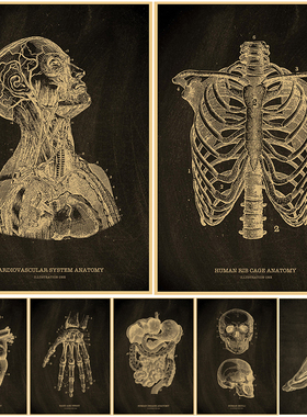Nostalgic Posters Anatomy Chalkboard Poster Print Body Parts