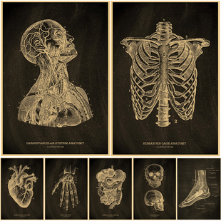 Nostalgic Posters Anatomy Chalkboard Poster Print Body Parts