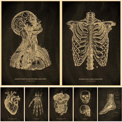Nostalgic Posters Anatomy Chalkboard Poster Print Body Parts