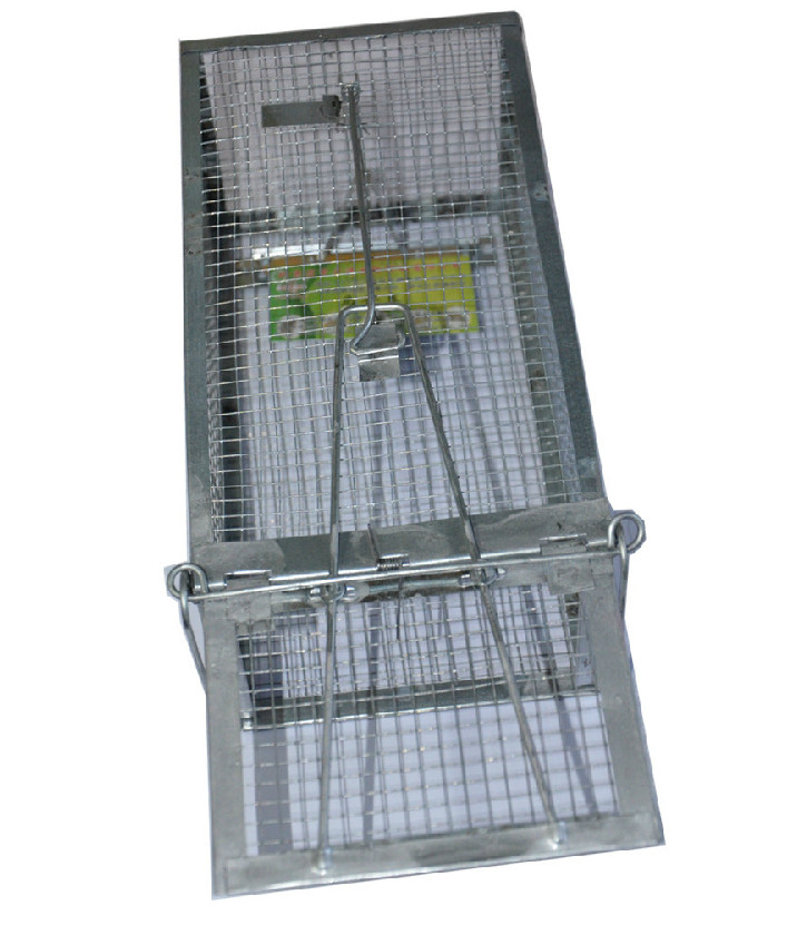 단문형 마우스 케이지 마우스 킬러 케이지 고감도 쥐덫 접착식 마우스 보드보다 경제적 마우스 킬러 마우스 클립